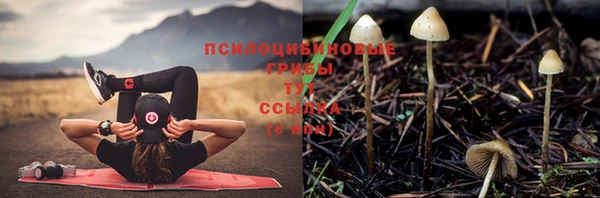 мяу мяу мука Костерёво